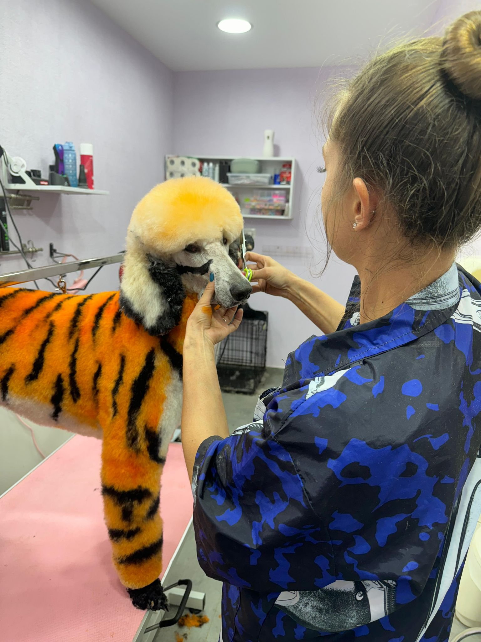 WhatsApp Image 2026-01-26 at 09.41.52