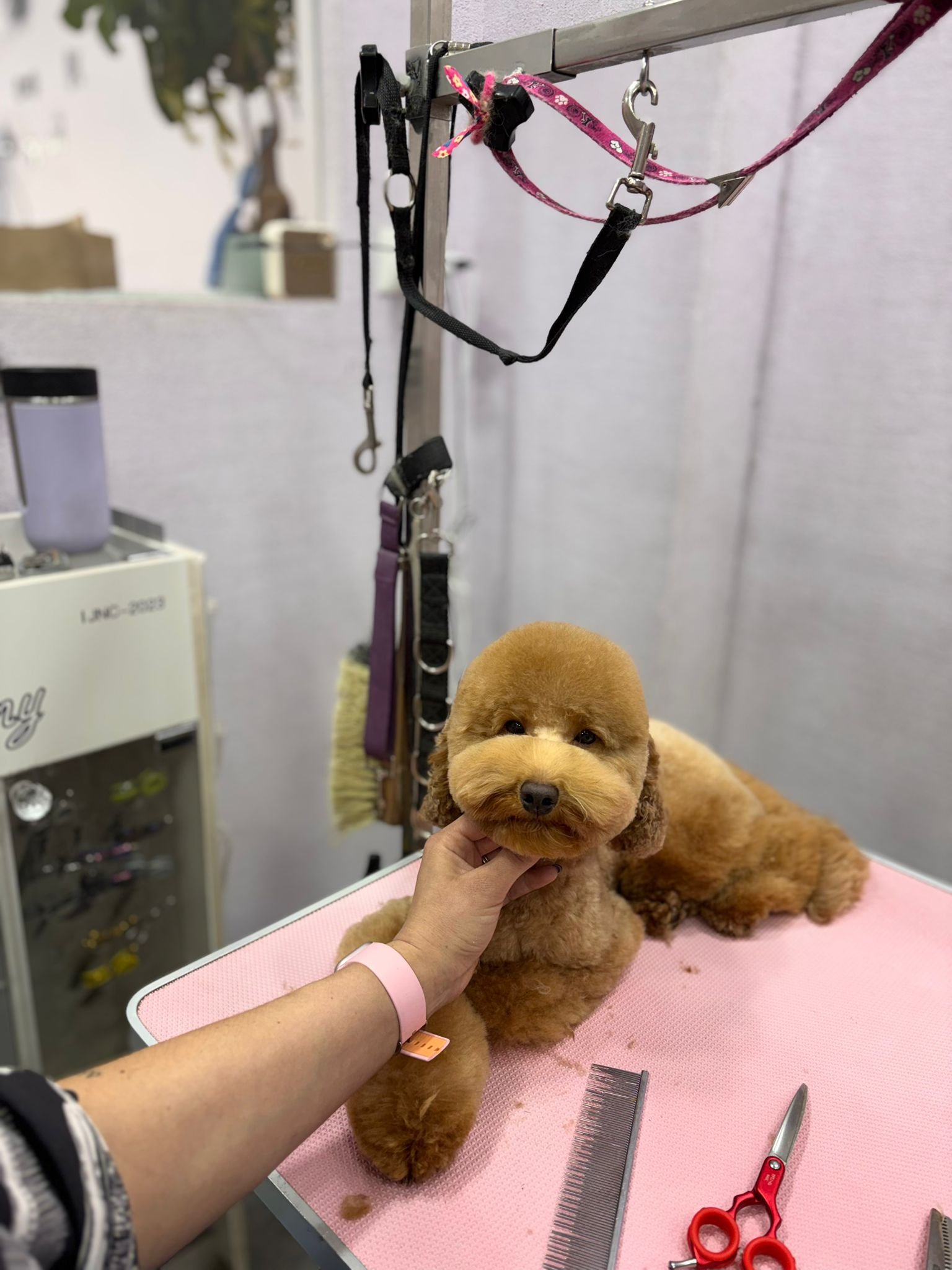 WhatsApp Image 2026-01-26 at 09.58.21 (3)