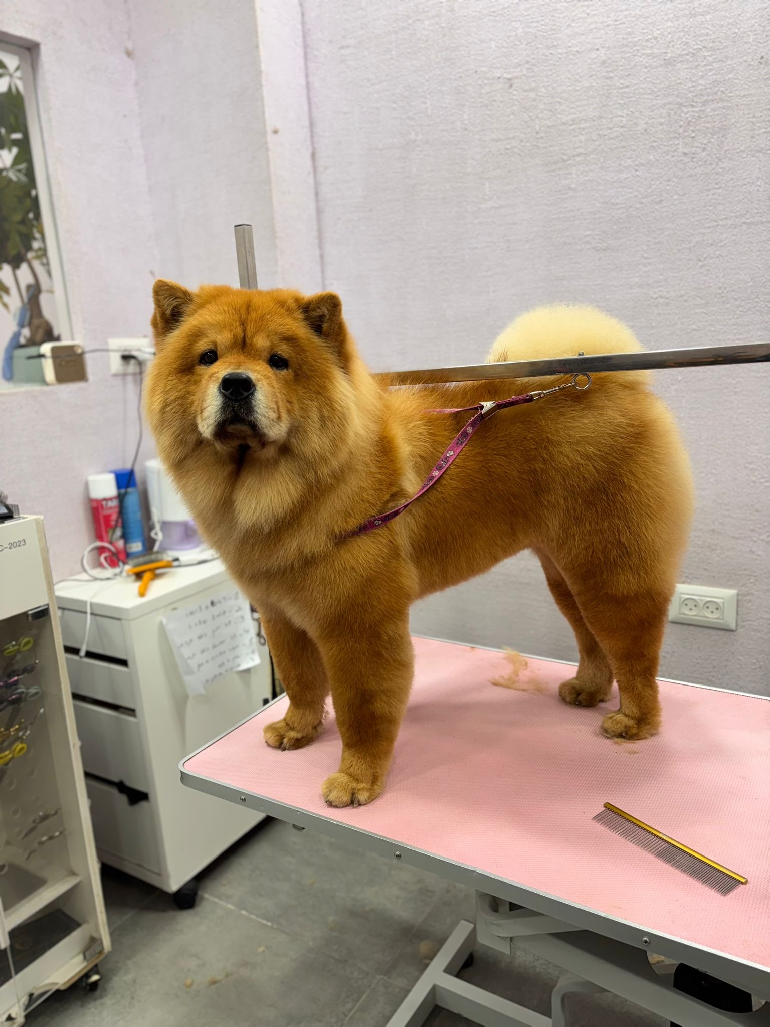 WhatsApp Image 2026-01-26 at 09.58.21