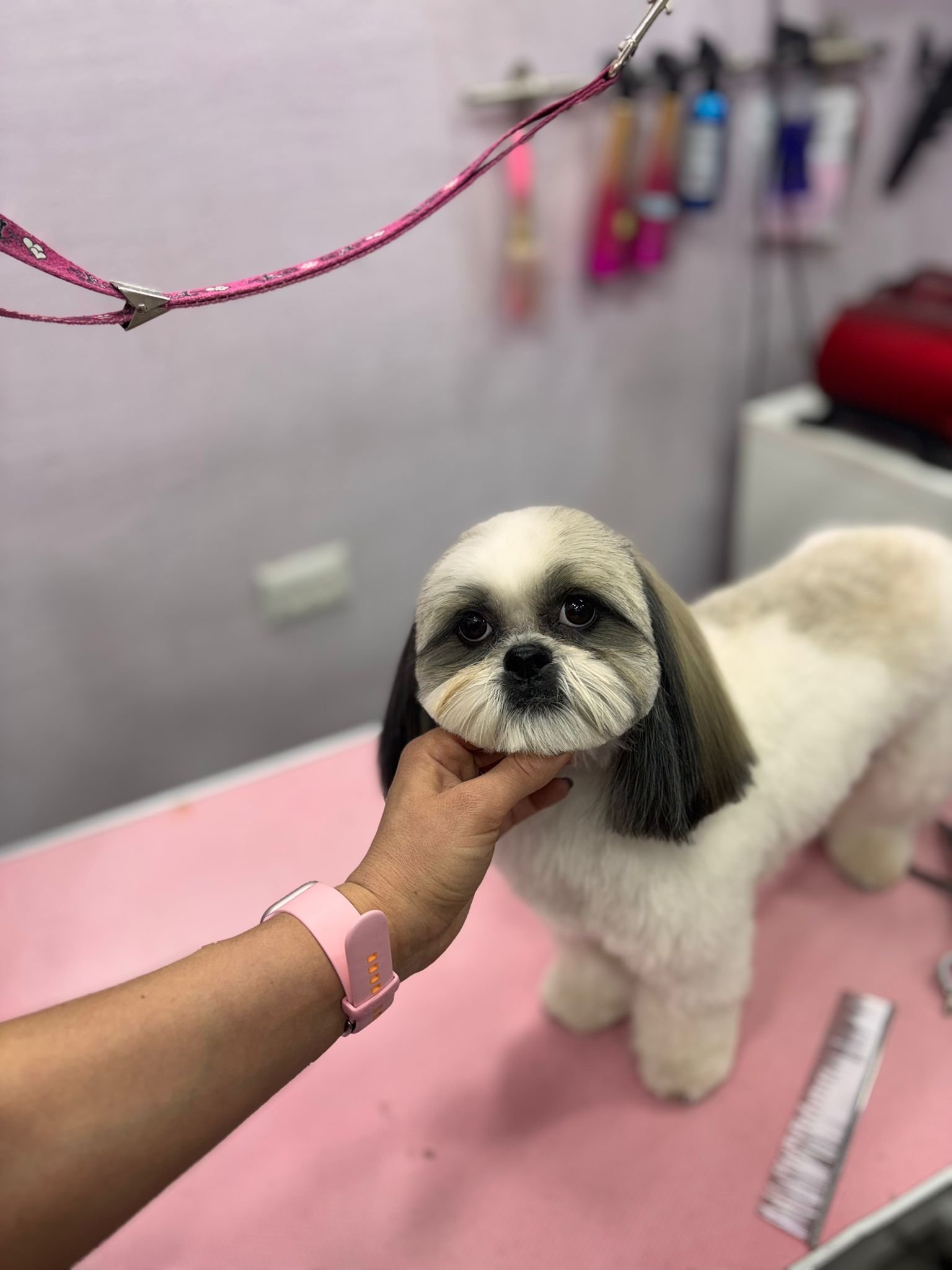 WhatsApp Image 2026-01-26 at 10.01.27 (1)