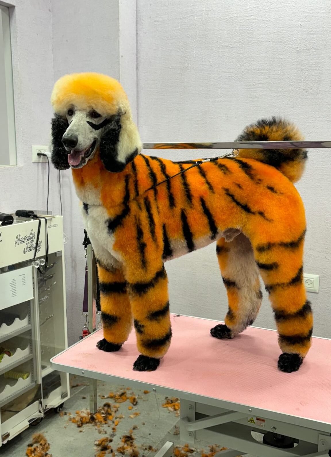 WhatsApp Image 2026-02-03 at 20.29.17